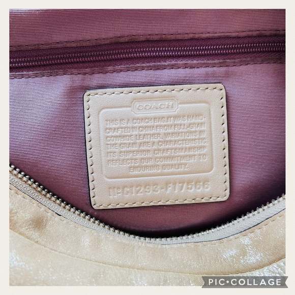 Coach Alexandra Convertible Light Gold Iridescent Shimmering Crossbody Bag - Picture 8 of 11